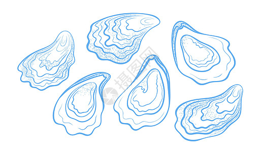 手绘纹理牡蛎套装 矢量插图以白色背景隔离图片