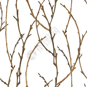新年冬季森林水彩色无缝模式生态木头季节插图枞树灌木丛装饰松果云杉手绘图片