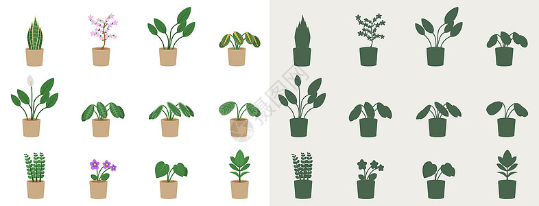 室内植物以平坦的风格和光影形式组装 用矢量说明花盆中的花朵图片