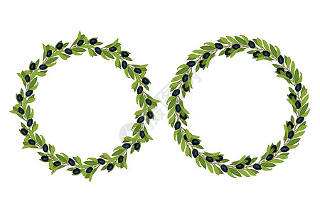 绿色的橄榄和树叶 还有绿色的莓子 手画着圆形图纸边界框架艺术绘画黑色植物草图装饰漩涡圆圈图片
