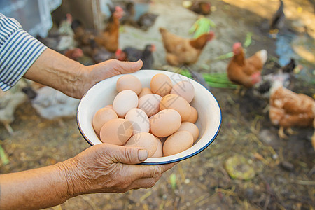 由祖母亲手做的鸡蛋 有选择的焦点乡村农场祖父孩子们幸福横幅动物鸟类村庄木板图片