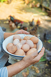 由祖母亲手做的鸡蛋 有选择的焦点幸福男人乡村生物孩子动物村庄孩子们横幅鸟类图片