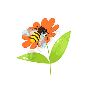 漫画风格的蜜蜂图片