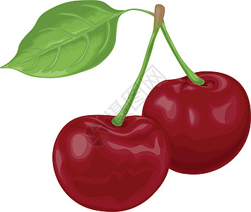樱桃 成熟的红樱桃的图像 与一片绿色叶子的红色樱桃莓果 花园浆果 在白色背景上孤立的矢量图果汁标识水果饮食插图甜点食物卡通片图片