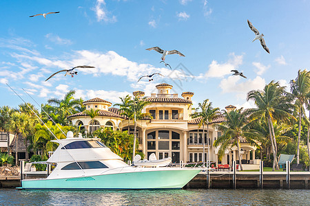 佛罗里达州劳德代尔堡豪华海滨大宅 有飞行海鸥背景图片