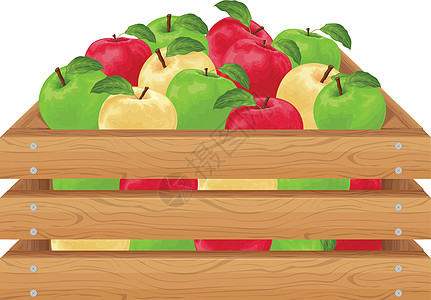 苹果 在一个木盒子里的成熟苹果 一个装有五颜六色苹果的盒子 成熟的果实 有机素食产品 农产品 在白色背景上孤立的矢量图图片
