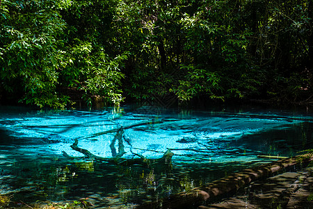 泰国Krabi红树林泰国Krabi树林 绿化湖和蓝泳池丛林雨林环境蓝池远足淡水池塘闲暇红树水池图片