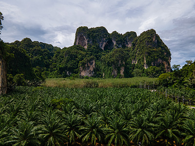 泰国Krabi棕榈树和石灰岩山之间交通畅通的美丽道路街道风景场景国家场地天线树木运输旅游小路图片