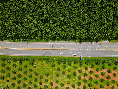 泰国Krabi棕榈树和石灰岩山之间交通畅通的美丽道路石头蓝色沥青树木晴天游客街道农村场地小路图片