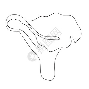 单行绘制的蘑菇图标 矢量插图营养手绘艺术季节森林蔬菜牡蛎草图星星标识图片