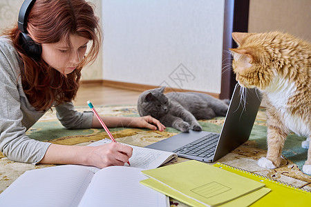 少女学习耳机 手持笔记本电脑与猫一起躺在地上图片
