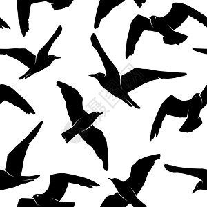 矢量无缝模式与白色的黑色海鸥鸟剪影 海洋 冲浪背景与飞翔的孤立海鸥 用于墙纸 包装 包装 背景 纺织品图片