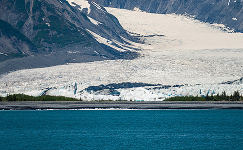熊冰川进入阿拉斯加塞沃德附近的海湾假期冰山港口旅游顶峰海岸海岸线风景冰川荒野图片