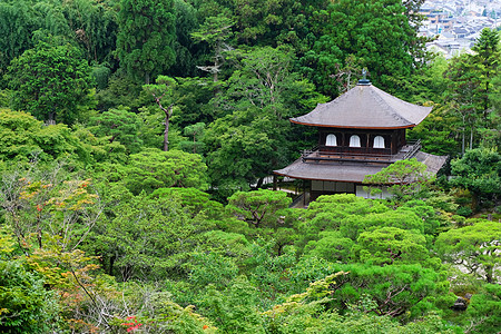 日本京都银九二寺庙旅行建筑神社佛教徒吸引力历史性建筑学地标花园寺庙图片