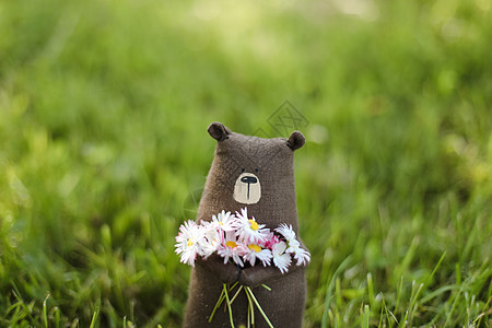 在阳光明媚的夏日 生态友好 可爱的手工制作玩具熊在草地上捕食季节幸福动物玩具喜悦朋友童年公园展示孩子图片