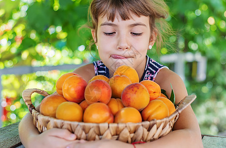孩子有杏子园艺人收成 有选择性的焦点女士花园女孩水果甜点微笑展示宏观农业孩子们图片