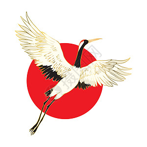 红冠起重机扇翼翅膀卡通漫画矢量插图风格鸟类野生动物航班翅膀卡通片姿势生物动物荒野图片