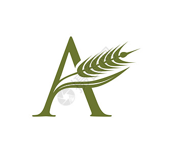 Wheat 谷物和初始 Logo 字母 A标识农民花园粮食叶子农场商业植物奢华收成图片