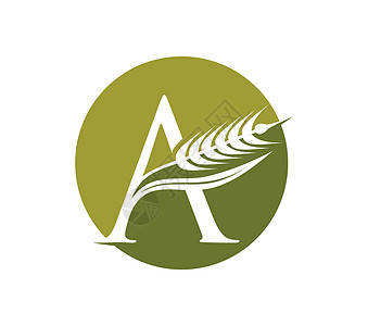 Wheat 谷物和初始 Logo 字母 A商业标识奢华机构公司花园农业植物品牌小麦图片