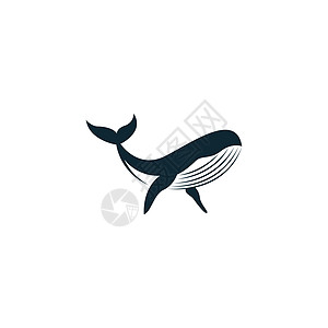 Whale 图标徽标标识插图模板矢量尾巴艺术海洋座头鲸蓝色卡通片绘画荒野野生动物游泳图片