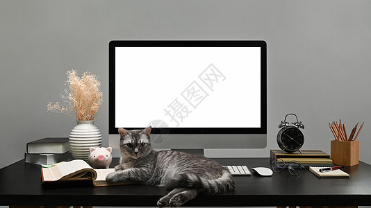 前面看可爱的猫和电脑 黑桌上有白色空屏幕图片