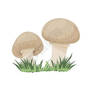 香菇草剪贴画蘑菇林高清图片
