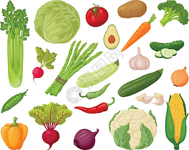 蔬菜套装 大量蔬菜 如芹菜 卷心菜 西红柿 土豆 胡萝卜 黄瓜 大蒜 西葫芦以及胡椒 甜菜 洋葱和玉米 素食产品图片