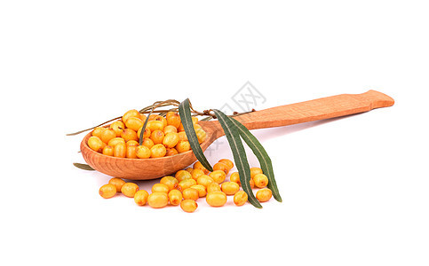 勺子里的巴克松浆果白色沙棘季节橙子食物植物团体黄色浆果草本图片