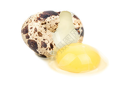 碎蛋食物产品脆弱性动物白色农场蛋黄棕色家禽美味图片