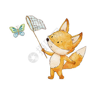 与蝴蝶一起可爱的小狐狸 水色儿童插图 孤立在白色上 木兰小动物 夏季活动图片