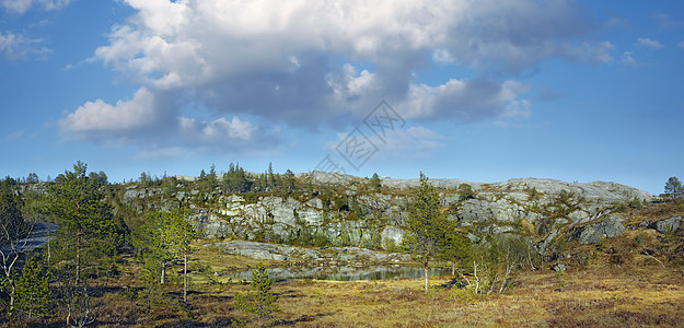 在多云的蓝天上 山上有池塘的森林树木景观 有复制空间 挪威一座山上郁郁葱葱的绿色植被 草和未开垦的灌木的夏季自然风光图片
