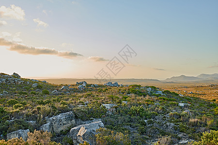 风景摄影开普角国家公园的荒野 南非西开普省开普角国家公园的荒野植物晴天环境公园摄影旅行场景衬套季节国家背景