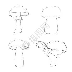 单行绘制的蘑菇图标 矢量插图手绘标识卡通片艺术森林植物涂鸦食物草图星星图片