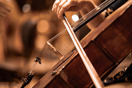 音乐会期间演奏的大提琴细节音乐家玩家乐器仪器细绳旋律大提琴手艺术娱乐球员图片