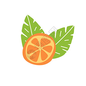 水果图标橙果 切片和叶子 面条手画矢量插图树叶橙子草图果汁饮食收藏手绘涂鸦热带艺术背景