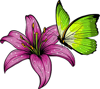 花蝴蝶和花花矢量插图设计艺术图片