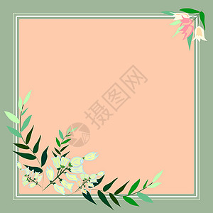 周围有叶子和花朵的框架和里面的重要公告 到处都是不同植物的框架和重要信息 有最近想法的花盒季节绘画作品植物学计算机创造力森林婚礼图片