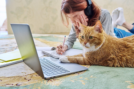 使用笔记本电脑用姜猫在家学习的少女学生瞳孔互联网女士宠物教育朋友孩子们地面女性图片
