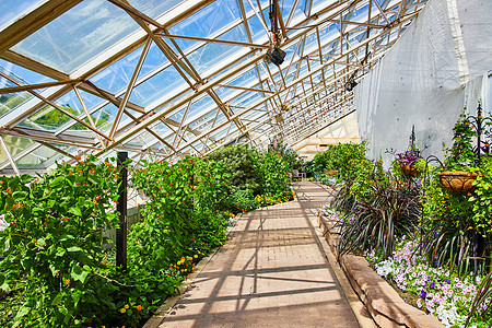 温室步行道和花园的玻璃屋顶图片