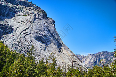 Yosemite山谷 松树林和远处瀑布图片