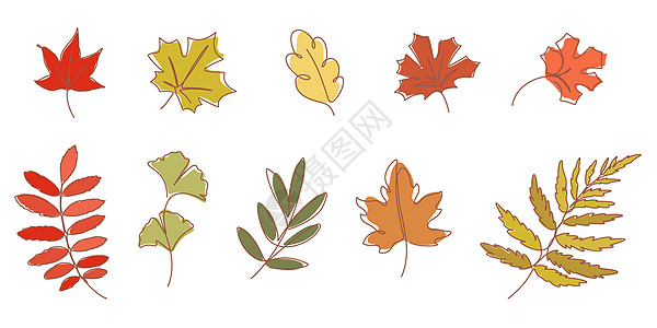 银杏叶秋季叶叶矢量图解的连续线绘制插画