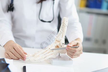 矫形医生展示人体塑料脚模型 分析每根骨头和脚趾背景图片