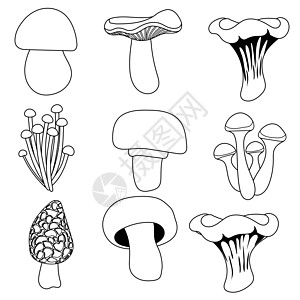 蘑菇漫画概要图片