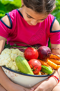 番茄女孩孩子在菜园 有选择性的焦点童年农场木板植物收成横幅水果饮食农民婴儿背景