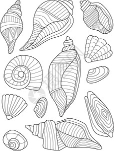 用不同的详细贝壳着色书页 用各种贝壳着色的纸张 在海中发现的东西以线条画的形式呈现 岩石晶体图片