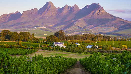 南非开普敦附近斯泰伦博施山丘的日落时风景与葡萄园景观农业全景爬坡场地蓝色水果树叶国家旅行农村图片