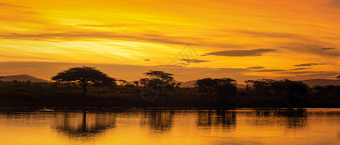 非洲日落 有湖泊树和山丘 南非萨凡纳湖边水湖日落风景野生动物国家地平线太阳蓝色全景池塘旅行天空图片