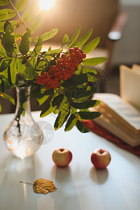 秋天仍然有生命 在舒适的家居内地的桌子上摆着罗曼和苹果纺织品感恩乡村风格静物阳光房间装饰作品叶子图片