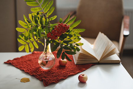 秋天还有生命 在花瓶 书本和苹果里有一个拉朗树枝 在舒适的室内纺织品公寓桌子作品季节阅读桌面房间椅子风格图片