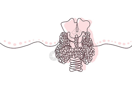 甲状腺手绘制图标连续线画和粉红色平面光影 人类器官 医学趋势概念 单行设计 简略图像黑白矢量与黑色矢量身体涂鸦绘画药品插图卡通片图片